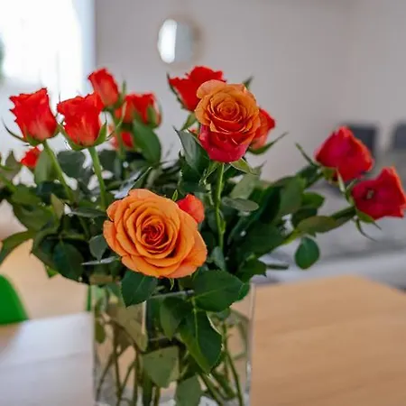 Apartmán Charlotte Sonnenschein Friedrichshafen