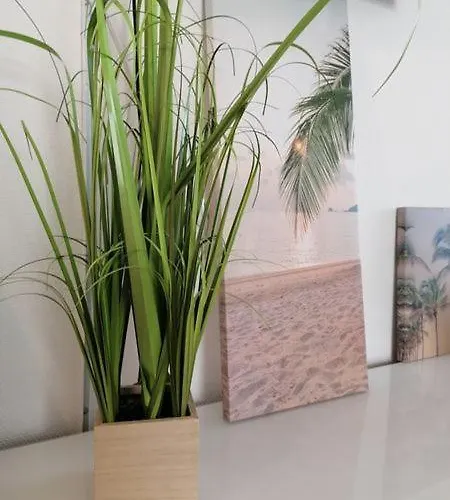 Charlotte Sonnenschein Daire *