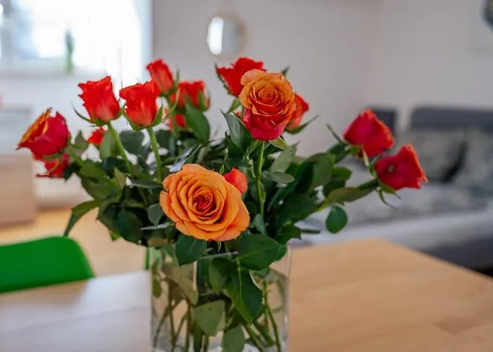 Daire Charlotte Sonnenschein Friedrichshafen