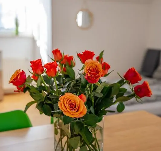 Daire Charlotte Sonnenschein