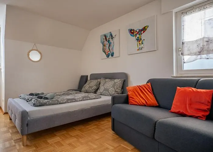 Daire Charlotte Sonnenschein